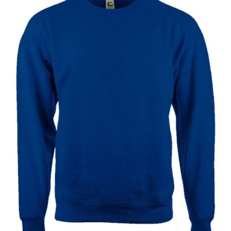 Youth Crewneck Sweatshirt