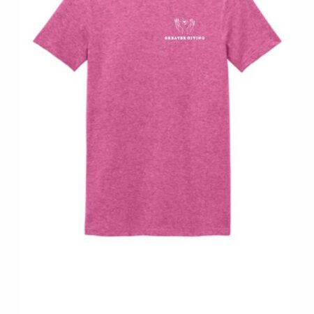 Gildan Softstyle Tshirt GG 64000LC