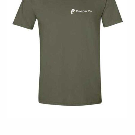 Gildan Softstyle Tshirt PC 64000LC