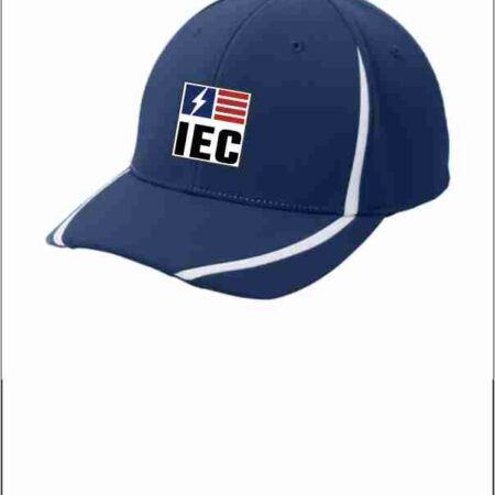IEC STC16